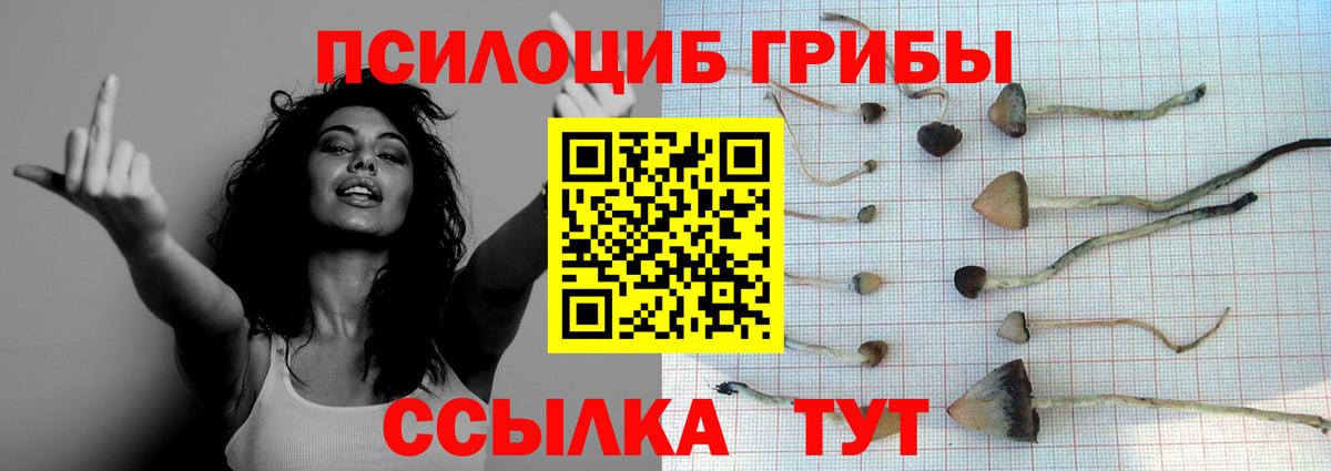 Галлюциногенные грибы GOLDEN TEACHER Воскресенск