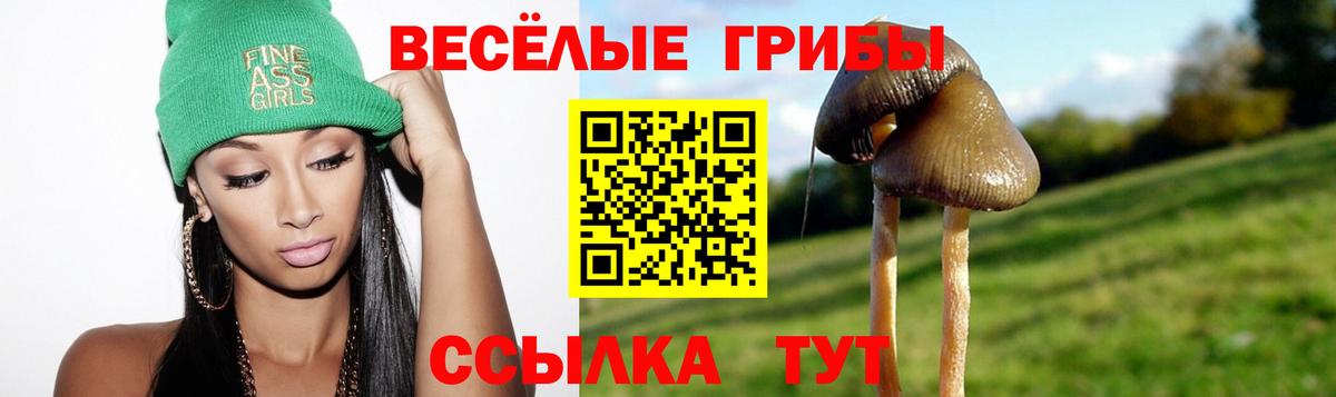 Псилоцибиновые грибы Psilocybine cubensis  цены наркотик  Воскресенск  Вход с VPN 